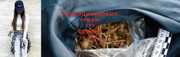 МДПВ Арсеньев