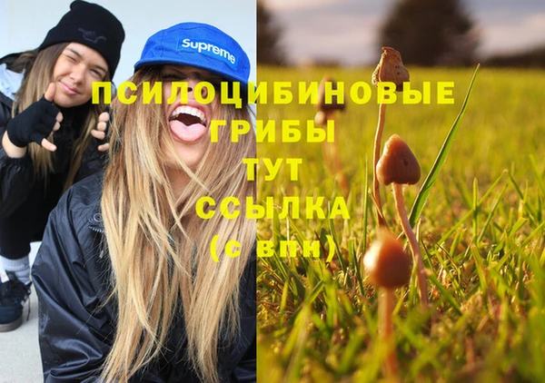 МДПВ Арсеньев