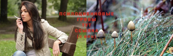трава Армянск